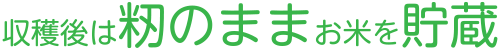 収穫後は籾のままお米を保存