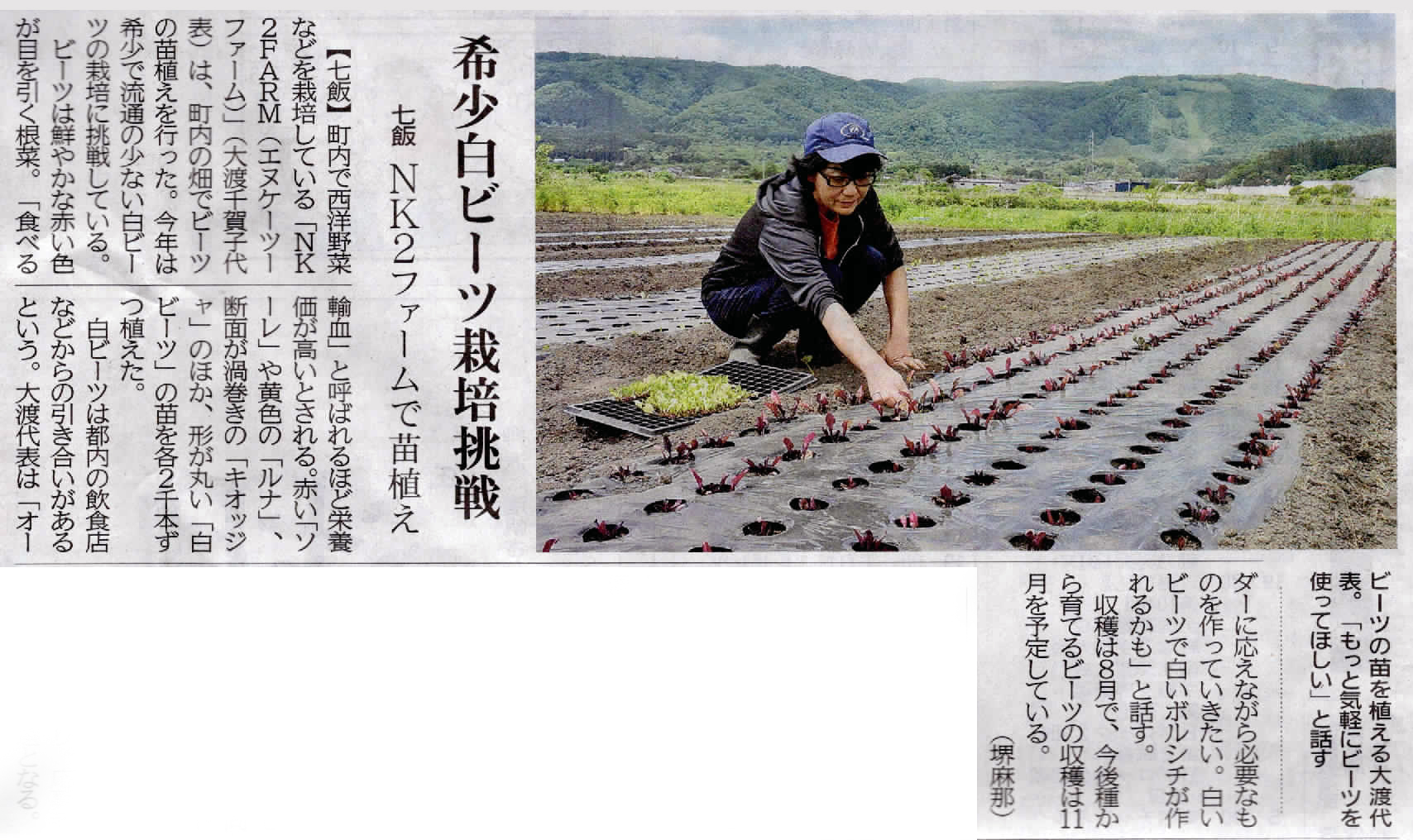 北海道新聞に掲載されました。